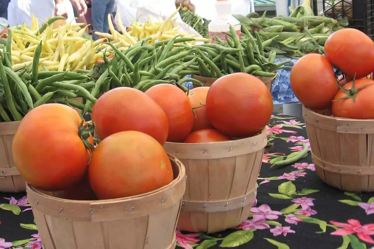 Minturn Market