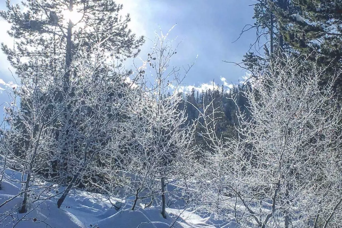 Minturn Winter