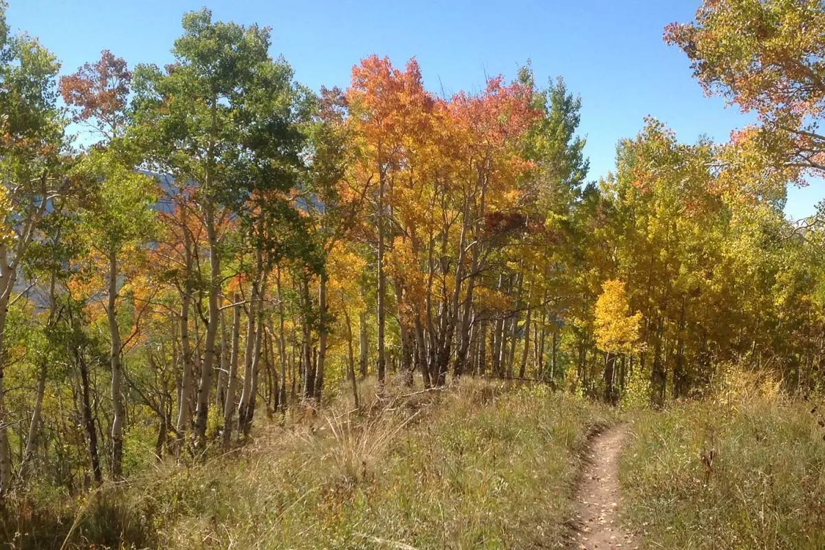 Minturn Trail
