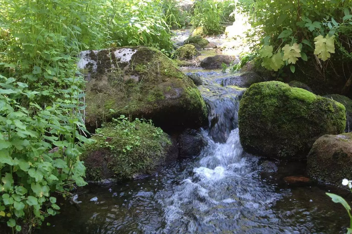 Minturn Creek