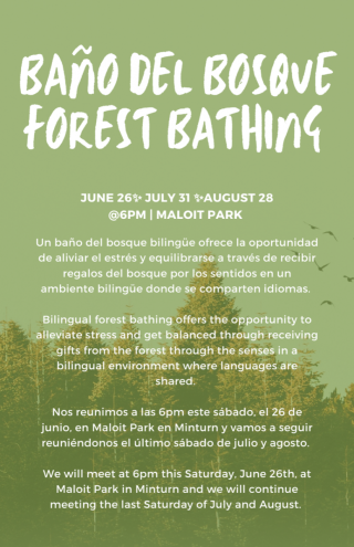 Bilingual Forest Bathing - Flyer