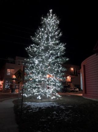 Town Tree Lighting