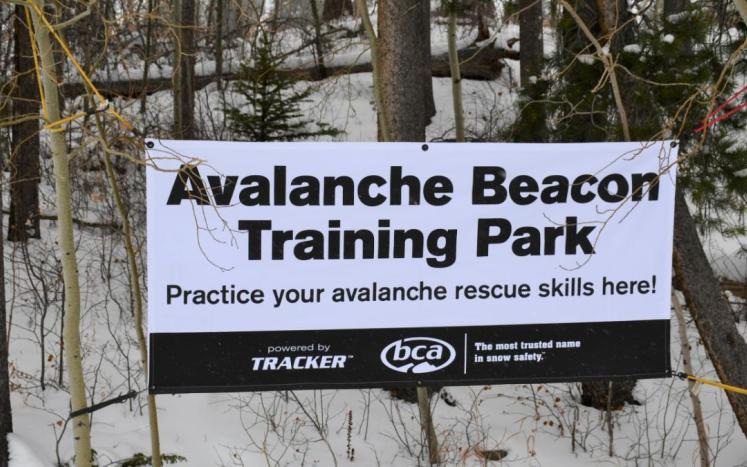 Avalanche Training