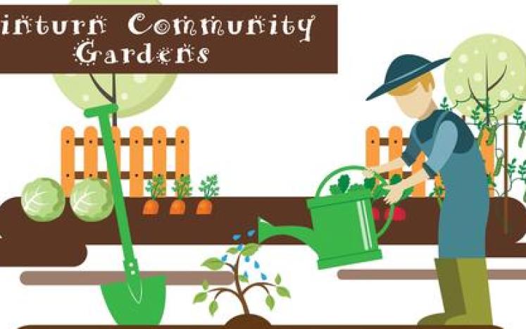 Community Garden image